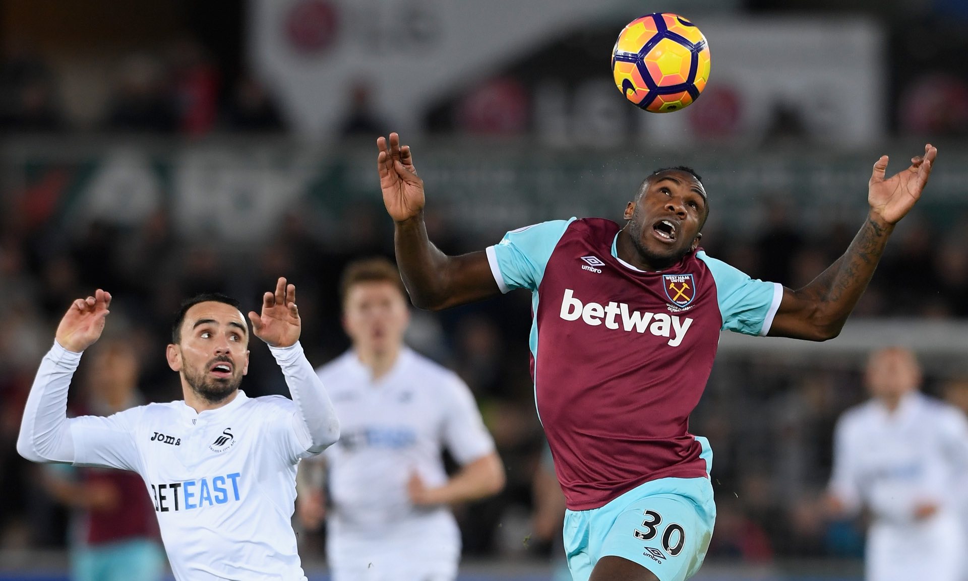 福井光辉用 福井光辉用